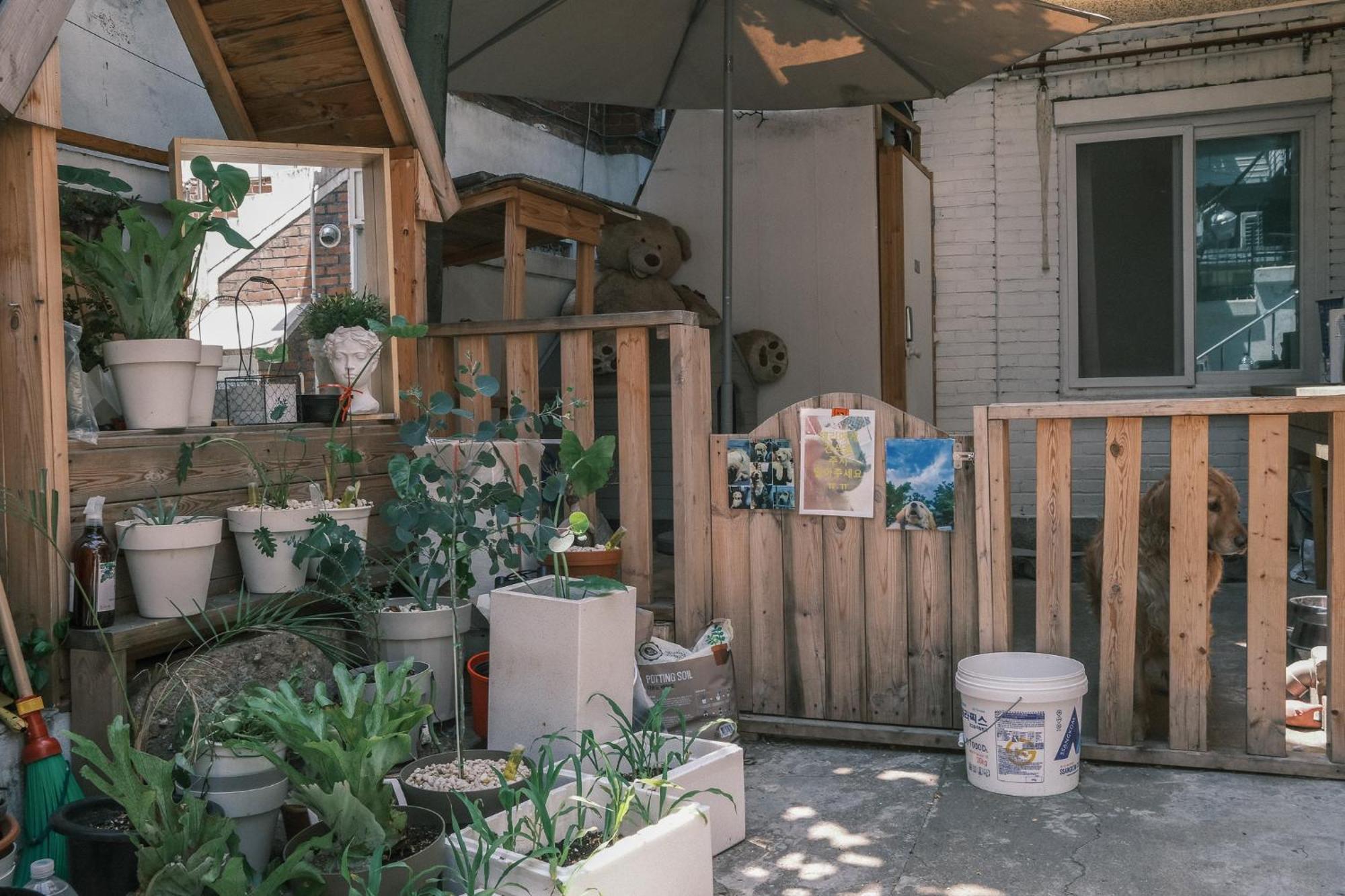 Helloworld Guesthouse Seoul Exterior photo